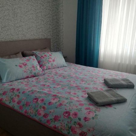 Apartman Miniki Vrnjačka Banja エクステリア 写真