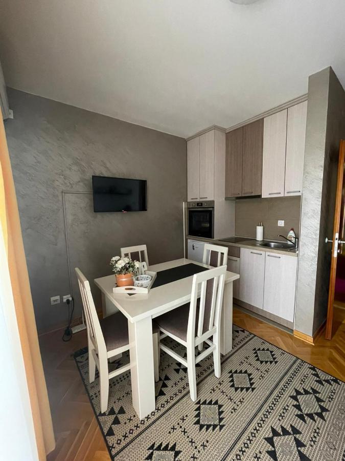 Apartman Miniki Vrnjačka Banja エクステリア 写真